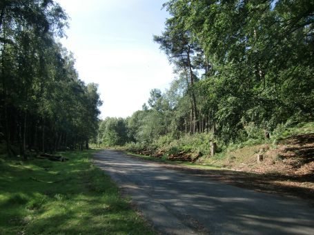 Brüggen : Brachter Wald